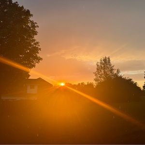 Meet your Posher, Isabelle